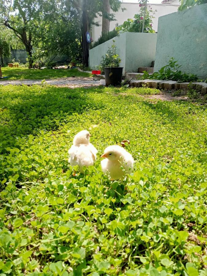 Salda Goelue Koca Kapi Konaklama Yesilova  Esterno foto