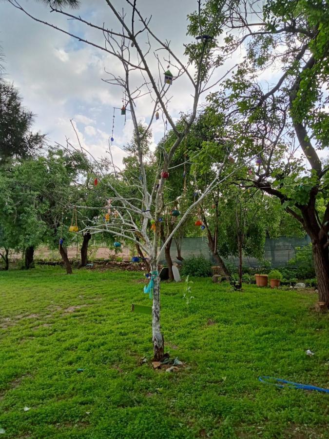 Salda Goelue Koca Kapi Konaklama Yesilova  Esterno foto